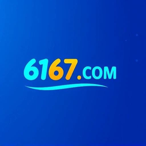 6167.COM